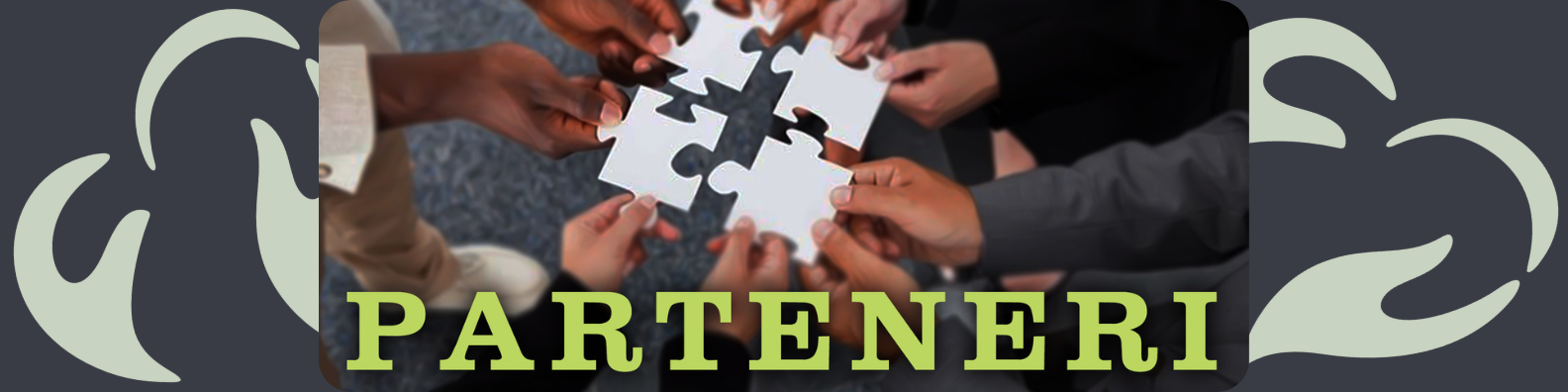 Parteneri final